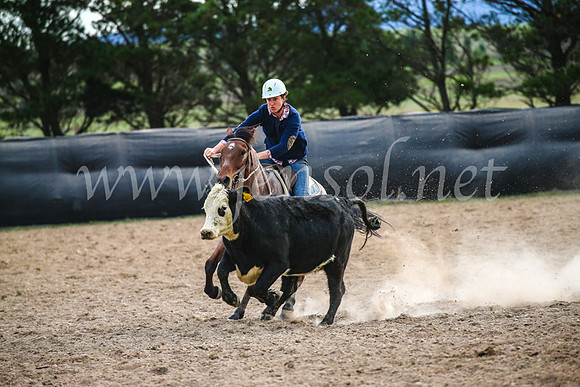 GoulburnCampdraft2017_6858