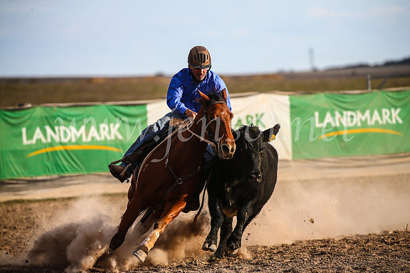 GoulburnCampdraft2017_7075