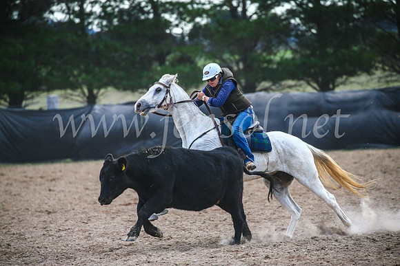 GoulburnCampdraft2017_6920