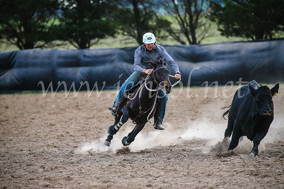 GoulburnCampdraft2017_7119