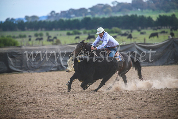 GoulburnCampdraft2017_6746