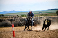 GoulburnCampdraft2017_6714