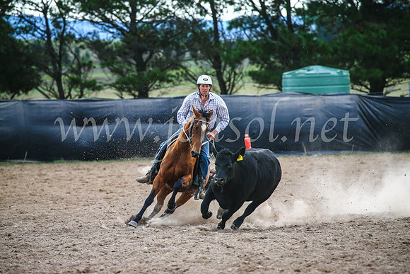 GoulburnCampdraft2017_6971