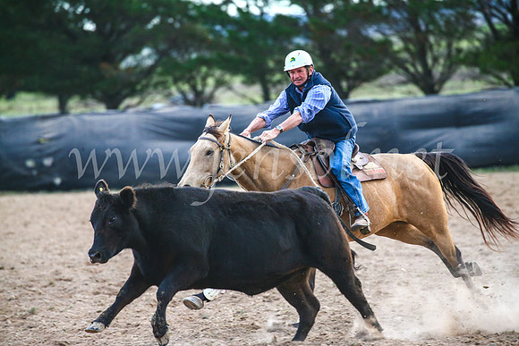 GoulburnCampdraft2017_7160