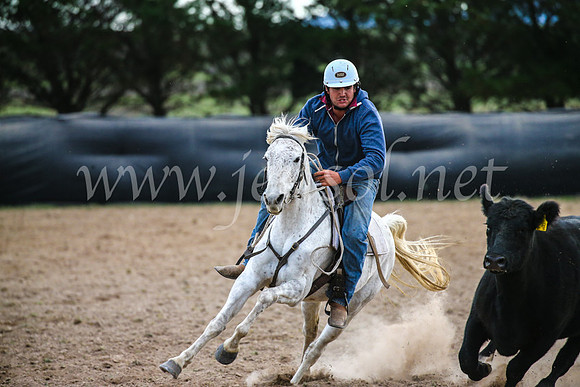 GoulburnCampdraft2017_6962