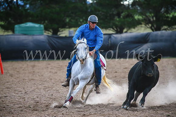 GoulburnCampdraft2017_6985