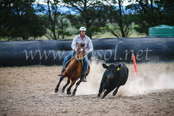GoulburnCampdraft2017_6968