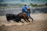 GoulburnCampdraft2017_6727