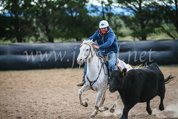 GoulburnCampdraft2017_6958
