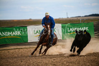 GoulburnCampdraft2017_6736