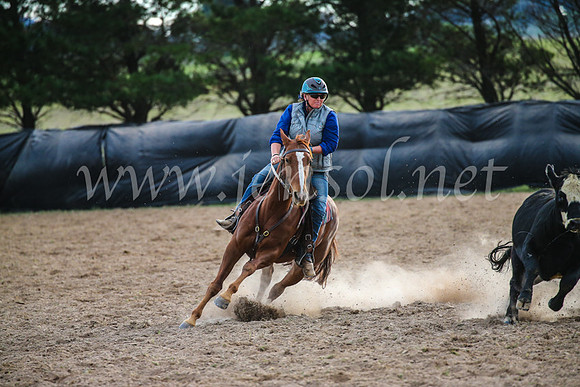 GoulburnCampdraft2017_7079