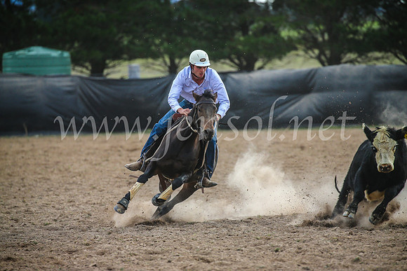 GoulburnCampdraft2017_6744