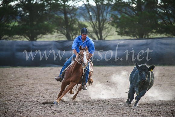 GoulburnCampdraft2017_7213