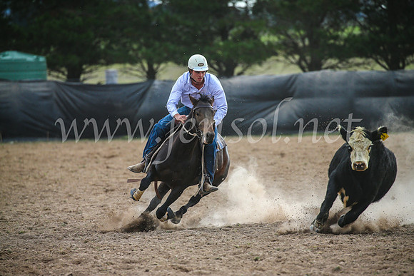 GoulburnCampdraft2017_6741