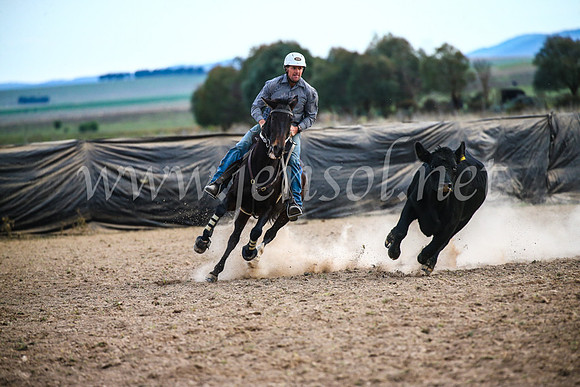 GoulburnCampdraft2017_7130