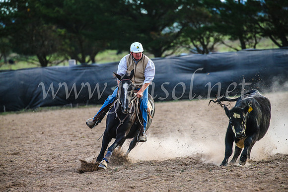 GoulburnCampdraft2017_7206