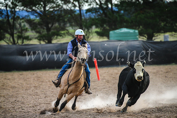 GoulburnCampdraft2017_6812