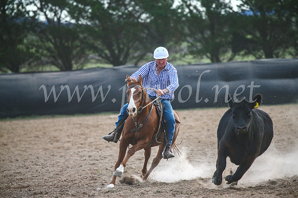 GoulburnCampdraft2017_7087