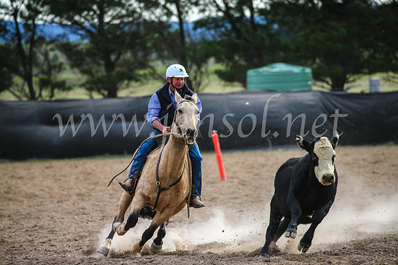 GoulburnCampdraft2017_6809