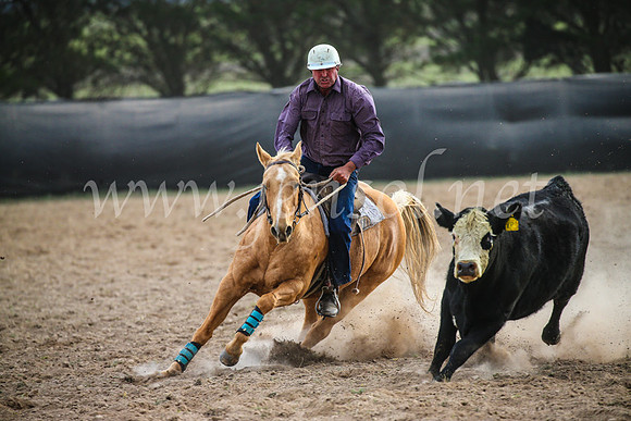 GoulburnCampdraft2017_6784