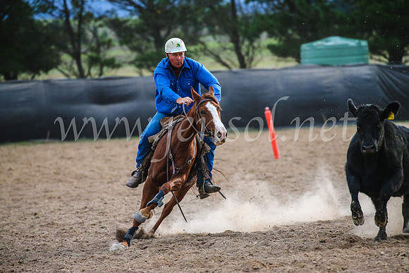 GoulburnCampdraft2017_6842