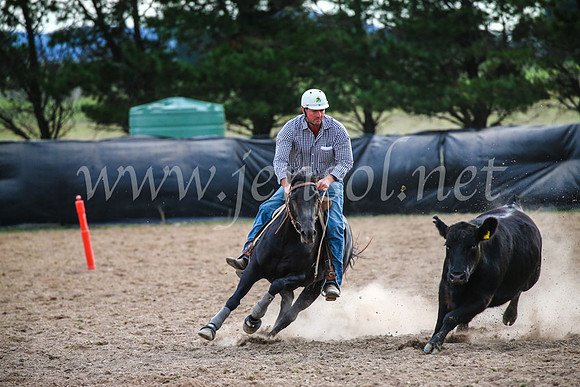 GoulburnCampdraft2017_6878