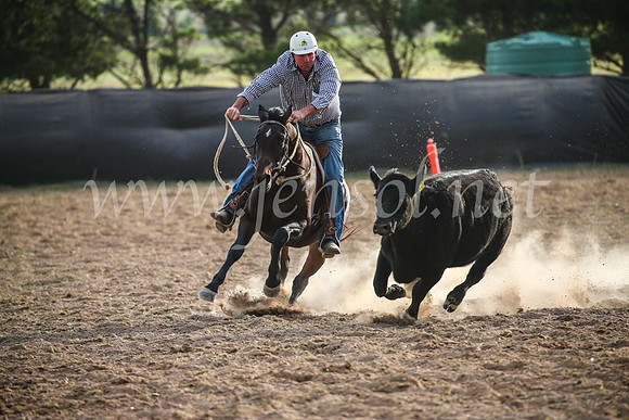 GoulburnCampdraft2017_7037