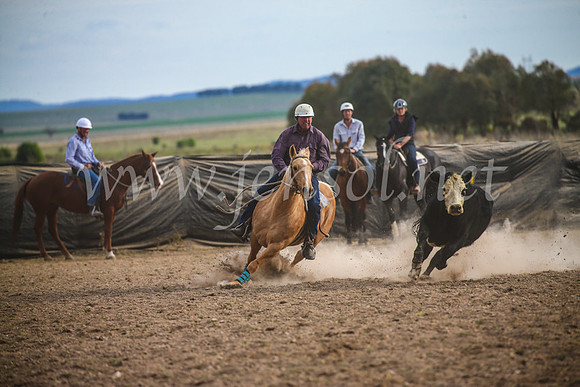 GoulburnCampdraft2017_6801