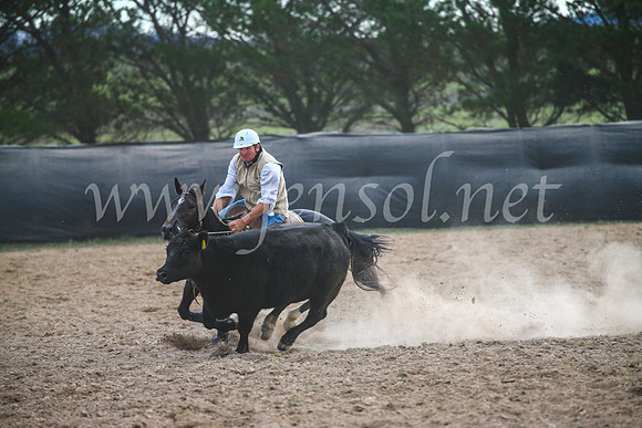 GoulburnCampdraft2017_6890