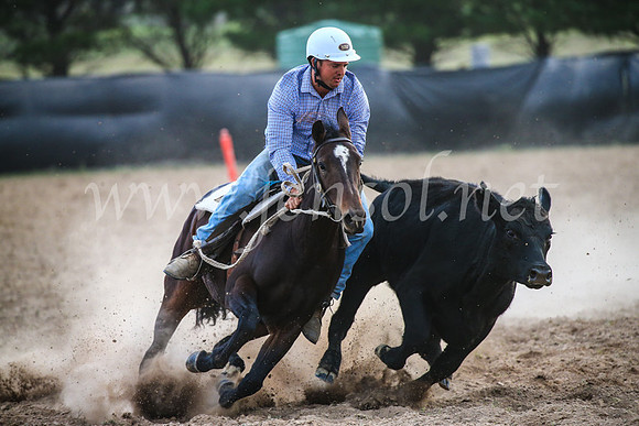 GoulburnCampdraft2017_7139