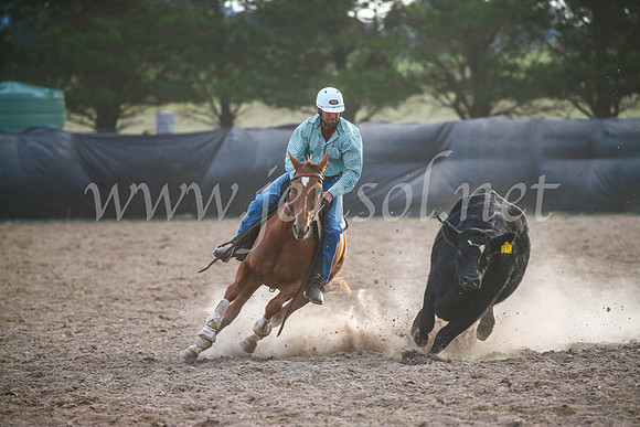 GoulburnCampdraft2017_7199