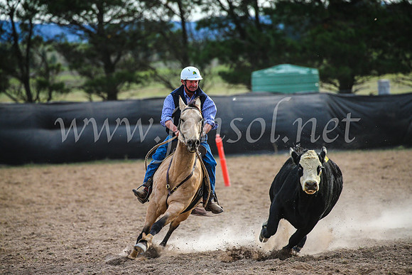 GoulburnCampdraft2017_6814