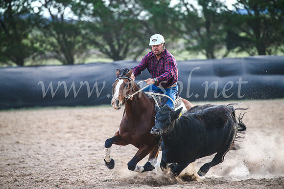 GoulburnCampdraft2017_7190
