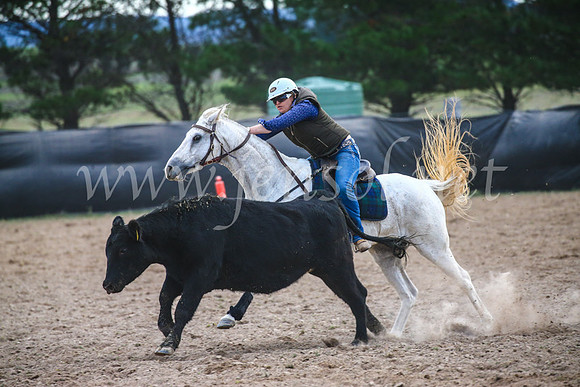 GoulburnCampdraft2017_6919