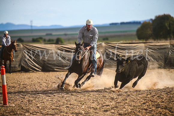 GoulburnCampdraft2017_7047