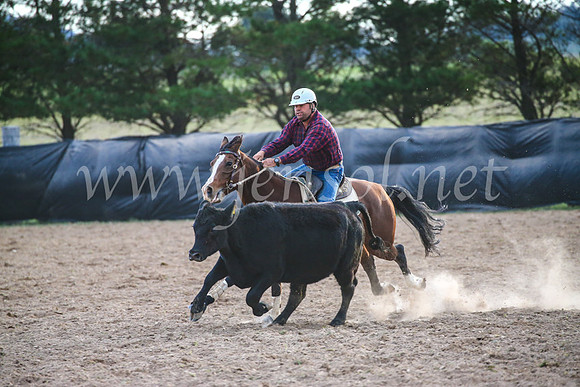 GoulburnCampdraft2017_7176