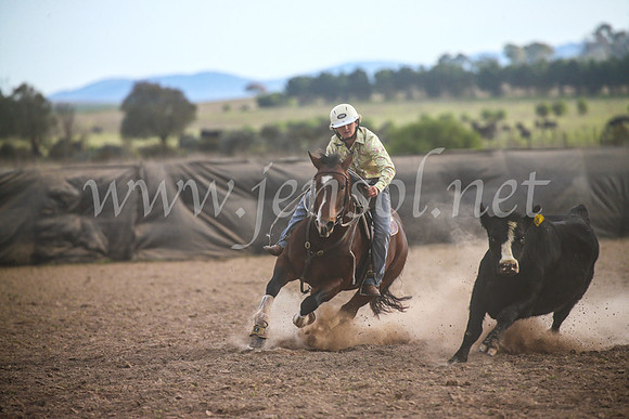 GoulburnCampdraft2017_7013
