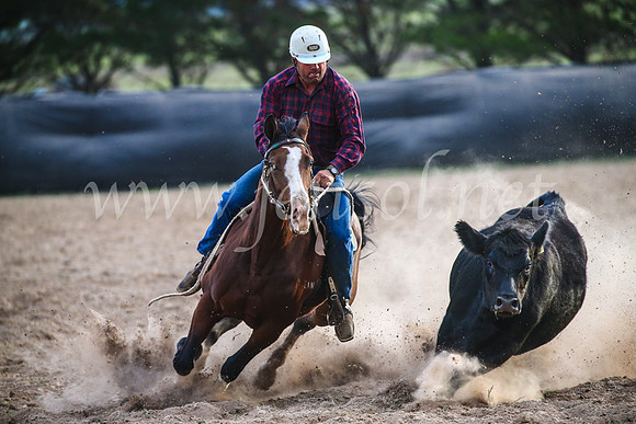 GoulburnCampdraft2017_7181