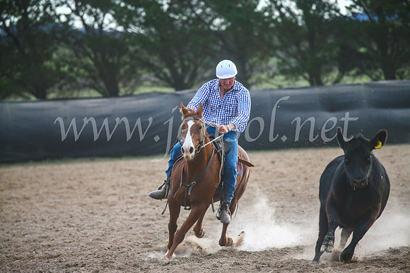GoulburnCampdraft2017_7085