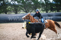 GoulburnCampdraft2017_6760