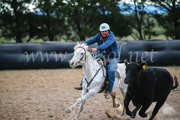 GoulburnCampdraft2017_6961