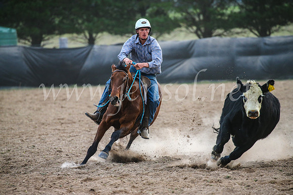 GoulburnCampdraft2017_7095