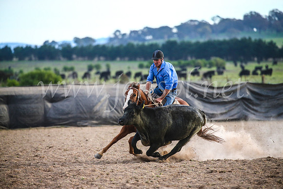 GoulburnCampdraft2017_7219