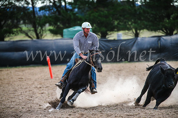 GoulburnCampdraft2017_6874