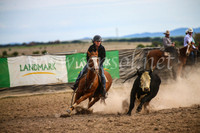 GoulburnCampdraft2017_6772