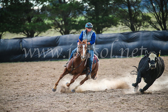 GoulburnCampdraft2017_7081