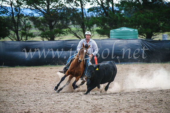 GoulburnCampdraft2017_6970