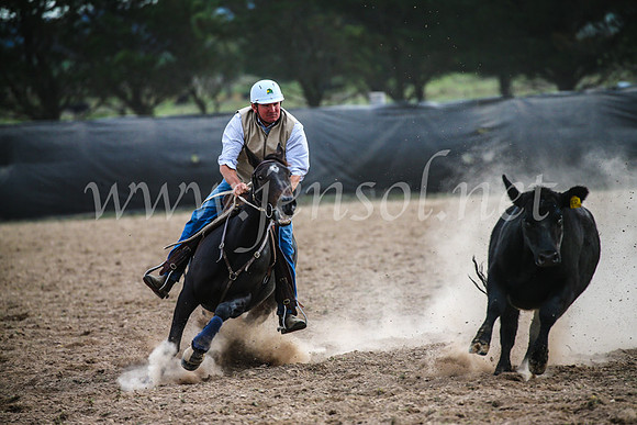GoulburnCampdraft2017_6895