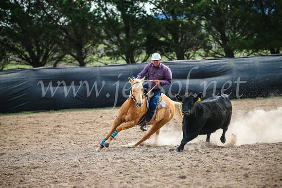GoulburnCampdraft2017_6804