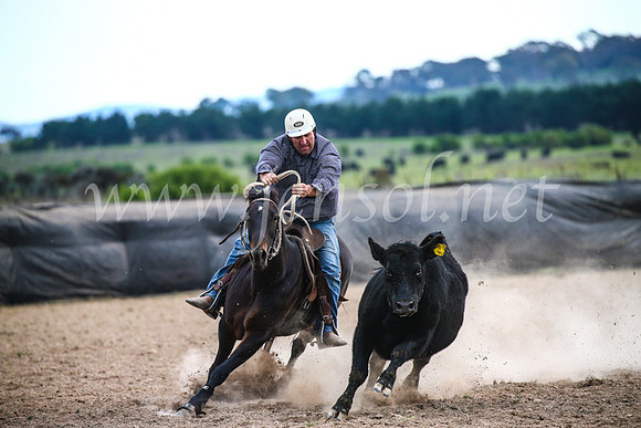 GoulburnCampdraft2017_6945